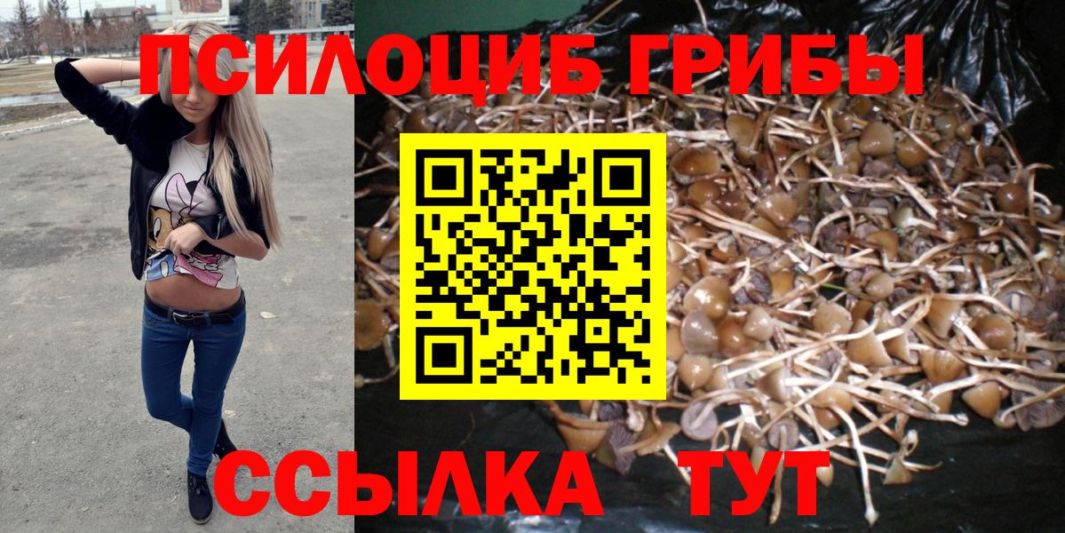 Юрга  Галлюциногенные грибы прущие грибы  где купить   Вход с VPN 